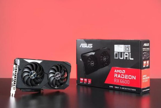Double Fan Asus Dual Rx6600 8g 128bit